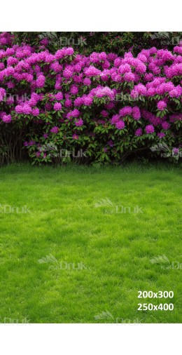 Tło fotograficzne z różanecznikami w intensywnym różu i zielonym ogrodem | E558